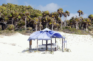 Image showing Beach in Tulum