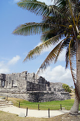 Image showing Palm tree and ruins
