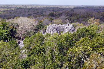 Image showing Piramid and forest in Becan, Mexico 