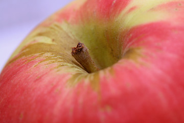 Image showing Apple closeup