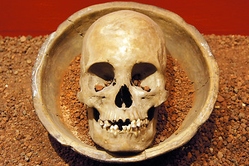 Image showing Skull on the plate