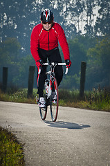 Image showing Cyclist