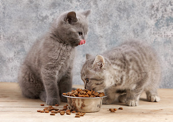 Image showing two kittens