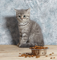 Image showing kitten 
