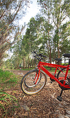 Image showing bike in forest