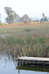 Image showing wooden pier in tranquil lake at morning 