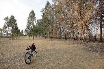 Image showing bicycle in a beautiful park 