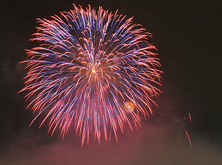 Image showing Fireworks