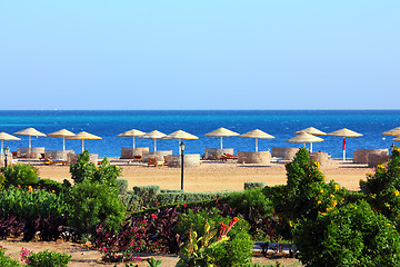 Image showing tropical beach and Red Sea