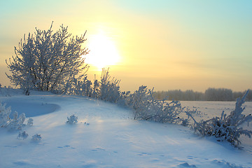 Image showing winter morning