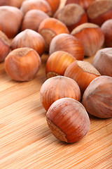 Image showing Hazelnuts