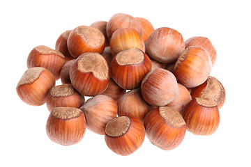 Image showing Hazelnuts