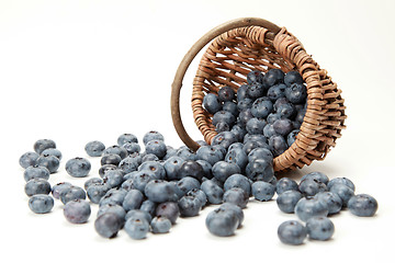 Image showing Blueberries