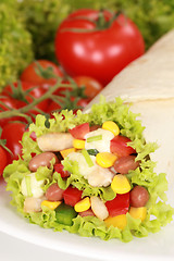 Image showing Chicken Wrap Sandwich