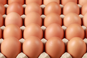 Image showing Eggs in a box