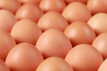 Image showing Brown Eggs