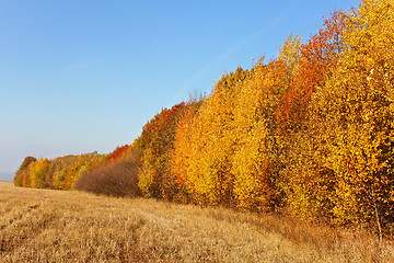 Image showing Rural landscape