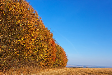 Image showing Autumn landscape