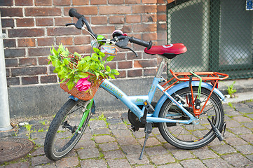 Image showing Children's bicycle