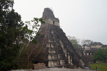 Image showing Tikal