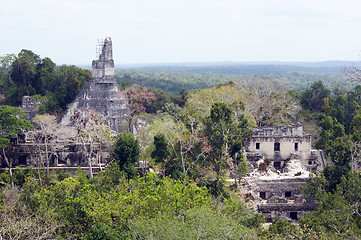 Image showing Tikal