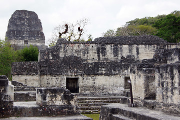 Image showing Ruins in Tikal