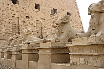 Image showing sphinxes at Precinct of Amun-Re