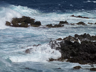 Image showing coastal rock formation at the Azores