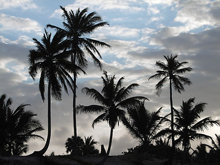 Image showing carribean evening scenery