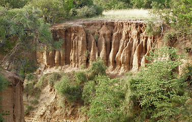 Image showing around Lake Albert in Africa