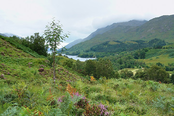 Image showing colorful Scottish Highlands