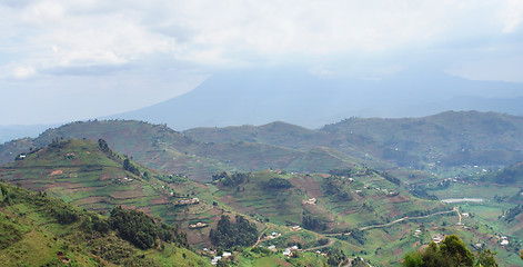 Image showing Virunga Mountains in Uganda