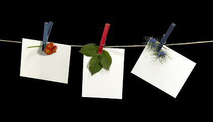 Image showing clothesline and labels with flowers