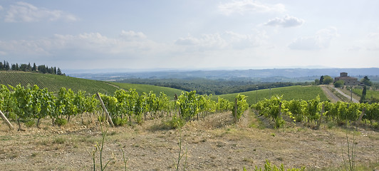 Image showing Chianti in Tuscany