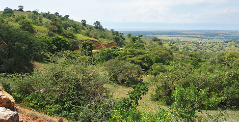 Image showing Great Rift Valley in Uganda