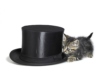 Image showing kitten hiding behind a top hat