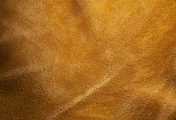 Image showing leather background