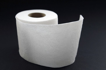 Image showing roll of toilet paper