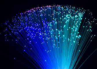 Image showing plastic optical fibers