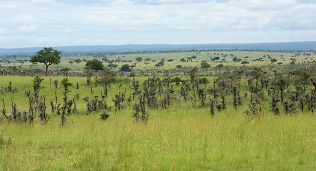 Image showing around Murchison Falls National Park