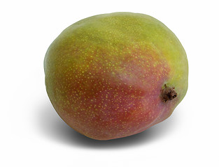 Image showing mango fruit in white back