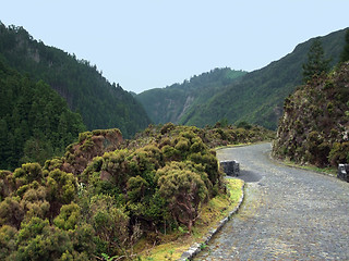 Image showing peaceful Azores scenery