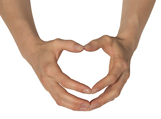 Image showing two feminine hands