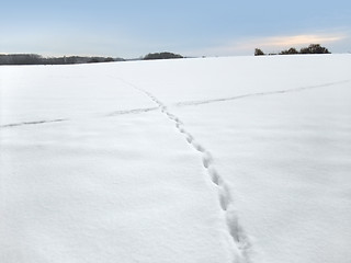 Image showing winter scenery at evening time