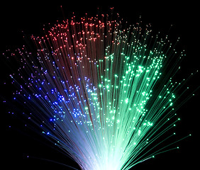 Image showing plastic optical fibers