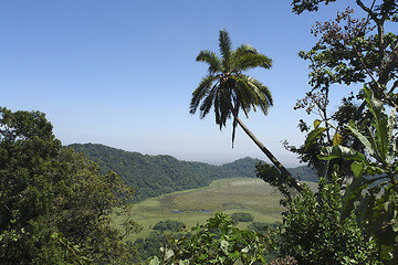 Image showing Arusha National Park in Africa