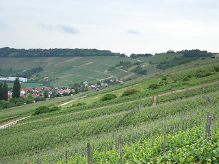 Image showing Kochertal at summer time