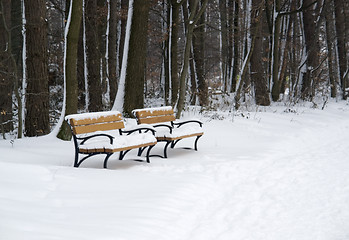 Image showing wooden benches at winter time