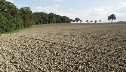 Image showing pictoral plowed field and trees