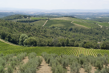 Image showing Chianti in Tuscany